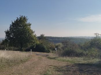Tocht Stappen Royer - Royer - Photo