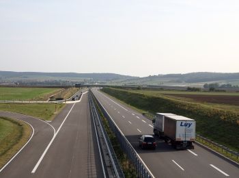 Randonnée A pied Kölleda - Geopfad Unstrut/Hohe Schrecke - Photo