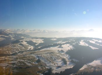 Percorso A piedi Hemberg - Rundweg H2 - Photo