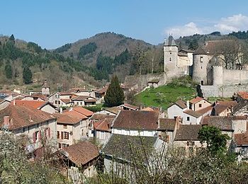 Excursión Senderismo Châteldon - Chateldon_Bois_Noirs - Photo