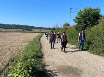 Randonnée Marche Nogentel - Arpsa Nogentel  - Photo
