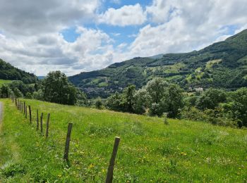 Excursión Senderismo Saint-Jacques-des-Blats - St Jacques des Blats Font de Cere Super Lioran Les Gardes - Photo