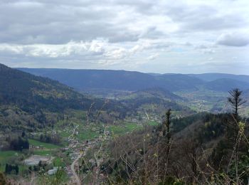 Randonnée Marche Sapois - circuit roche des ducs - Photo