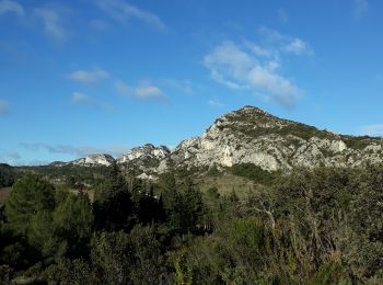 Randonnée Marche Eygalières - Eygalières et les Calans  - Photo