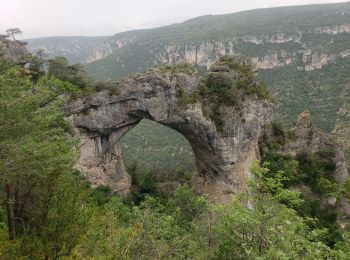 Excursión Senderismo Saint-Pierre-des-Tripiers - Cassagnes - Photo