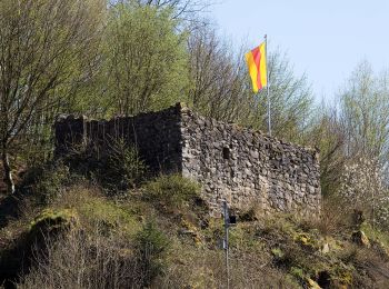 Randonnée A pied Oberwolfach - Guck a mol Wegle - Photo