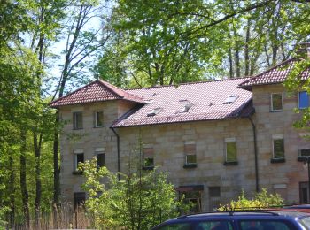 Tour Zu Fuß Rückersdorfer Forst - Buchbrünnlein-Runde - Photo