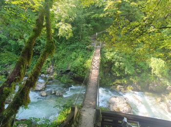 Randonnée Marche Tolmin - Gorges de Tolmin randonnée Slovénie - Photo