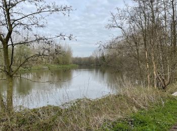 Randonnée Marche Nivelles - BE-Bornival - Bois d'En-Bas  - Ecluse 24 - Ancien canal - Photo