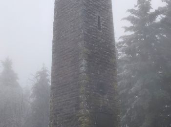 Tour Wandern Roggensbach - 2018-12-30 Marche Climont Voyemont - Photo