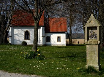 Tocht Te voet Borchen - Alter Pilgerweg (Borchen) - Photo