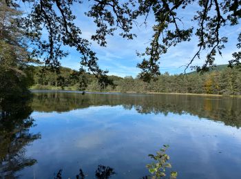 Tocht sport Treignac - Sob Treignac Corrèze - Photo