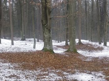 Excursión A pie Ludersdorf-Wilfersdorf - Wanderweg 15 - Photo