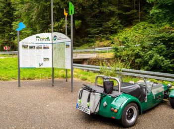 Tocht Te voet Oppenau - Rotenbachhof-Windschlagwald - Photo