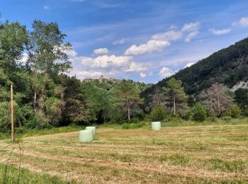 Randonnée Autre activité Boltaña - Rio Siewte - Photo