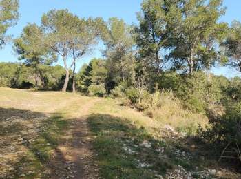 Tocht Stappen Buzignargues - G3_Buzignargues - Photo