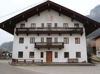 Percorso A piedi Gemeinde Erl - Scheiben-Runde - Photo