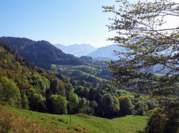 Percorso A piedi Onnion - Marche(74) - Onnion - Les Choseaux - Photo