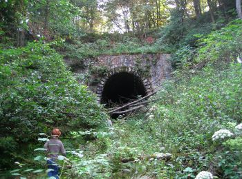 Excursión A pie Hückeswagen - Rund um Hückeswagen - Photo