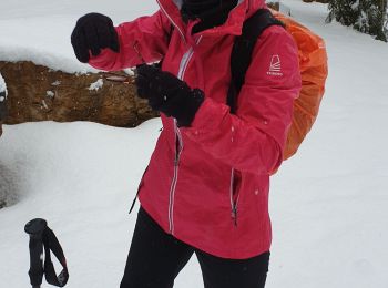 Tour Schneeschuhwandern Les Rousses - Gites Chagny. Fort des Rousses  - Photo