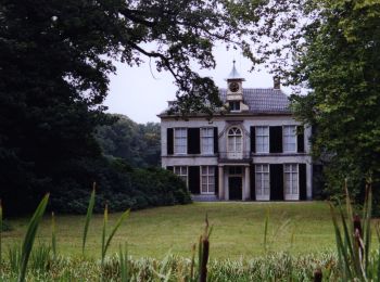 Tour Zu Fuß Brummen - Leuvenschepad (Klompenpad) - Photo