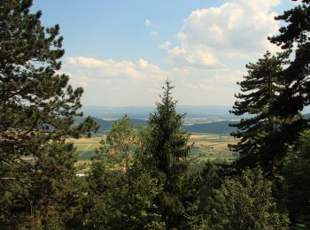 Excursión A pie Gemeinde Hohe Wand - Teufelsgratparkplatz - Loderhof (Kapelle) - Einhornhöhle - Photo