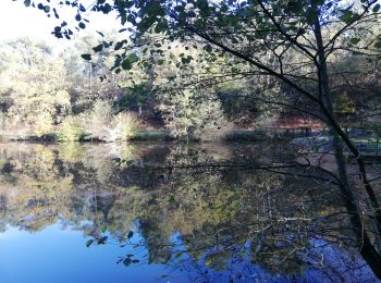 Trail Walking Saint-Jacut-les-Pins - porté par l'eau et le vent  - Photo