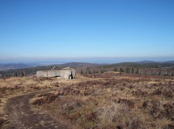 Trail On foot Malá Víska - Naučná stezka Jordán - Photo