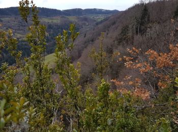 Tocht Stappen Bellignat - Nierme: Belvedere du Haut Cret - Photo