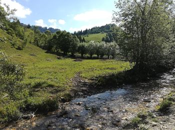 Tocht Te voet Onbekend - Podu Dâmboviței - Valea Rudăriței -Fundățica - Photo