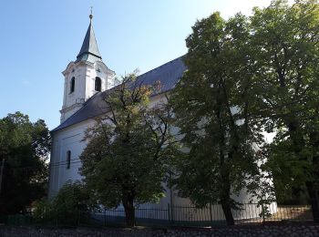 Randonnée A pied Kisgyőr - Parlagi sas tanösvény - Photo