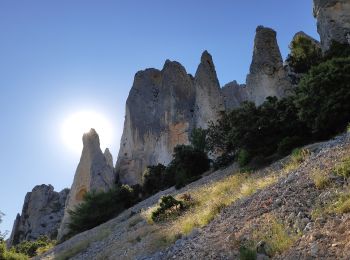 Percorso A piedi Quatretondeta - Sender de les Agulles de la Serrella - Photo