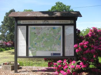 Tocht Te voet Hermsdorf - Rundweg Hermsdorf - Photo