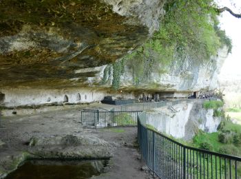 Randonnée Vélo électrique Tursac - Boucle Tursac la Vézère - Photo