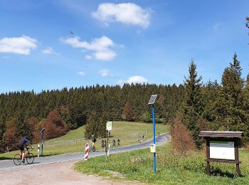 Trail On foot Ilmenau - Rennsteigleiter Manebach - Photo