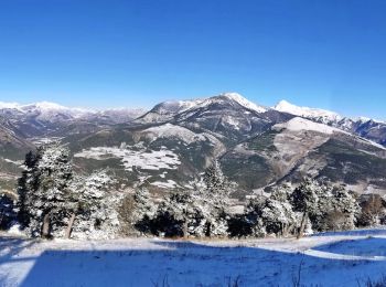 Tocht Stappen Aspres-sur-Buëch - Montagne Saint-Apôtre  - Photo