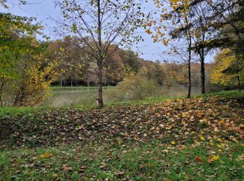 Randonnée Marche Mesland - BBR 2024-11-13 MESLAND 15km - Photo