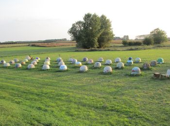 Trail On foot Halen - Zilveren Helmenwandeling - Photo