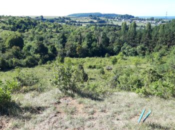 Randonnée Marche Parigny-les-Vaux - parigny les vaux  - Photo