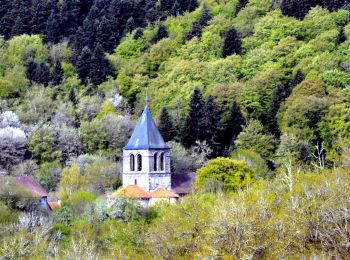 Excursión Senderismo La Goutelle - La_Goutelle_Moulin_Quarte - Photo