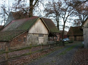 Trail On foot Haltern am See - Sundern Rundweg A8 - Photo