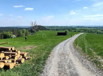 Excursión A pie Andělská Hora - [Ž] Ovčárna - Brantice - Photo