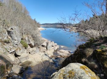 Trail Walking Naussac-Fontanes - lac de naussac - Photo