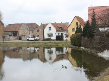 Excursión A pie Querfurt - Rundweg Märzenbechertal - Photo