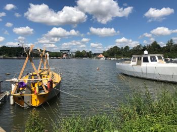 Tocht Stappen Itter - Port plaisance Ittre - Photo