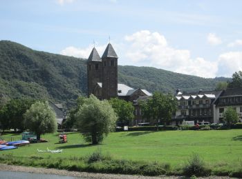 Randonnée A pied Bruttig-Fankel - Breva Wein & Weg - Photo