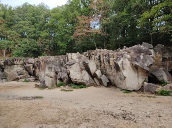 Randonnée Marche Palaiseau - La carrière de la troche - Photo