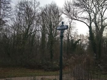Trail Walking Saint-Germain-en-Laye - Circuit MA 151219 - Photo
