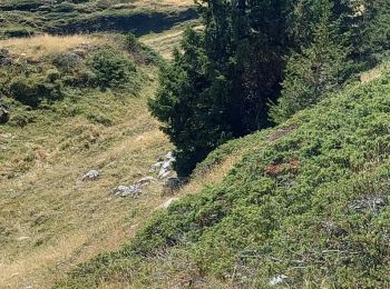 Excursión Senderismo Entremont-le-Vieux - la Plagne le Pinet :en boucle partielle à  partir de la bifurcation GR9 et montée au Pinet - Photo