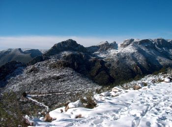 Tocht Te voet Xeraco - Ruta 1 oficial de Senderisme de Xeraco - Photo